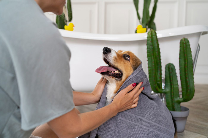 washing-pet-dog-home